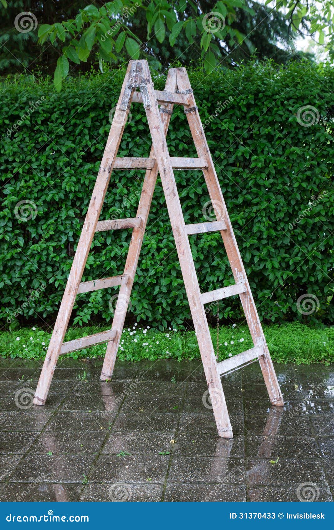 Wooden Ladder on the Backyard Stock Image Image of reflection, colour