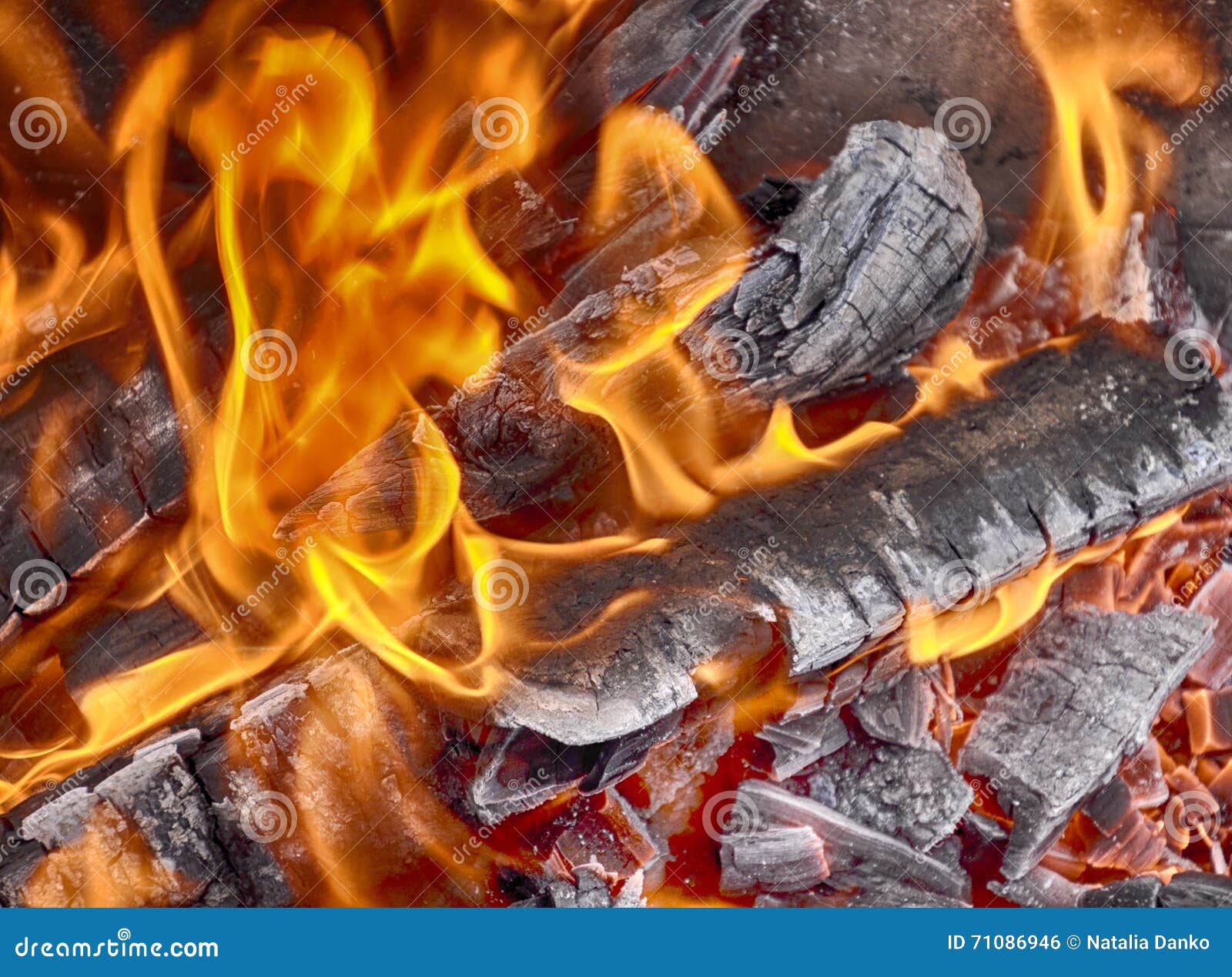 Wooden Logs Burn in the Fire Stock Photo Image of flame, element