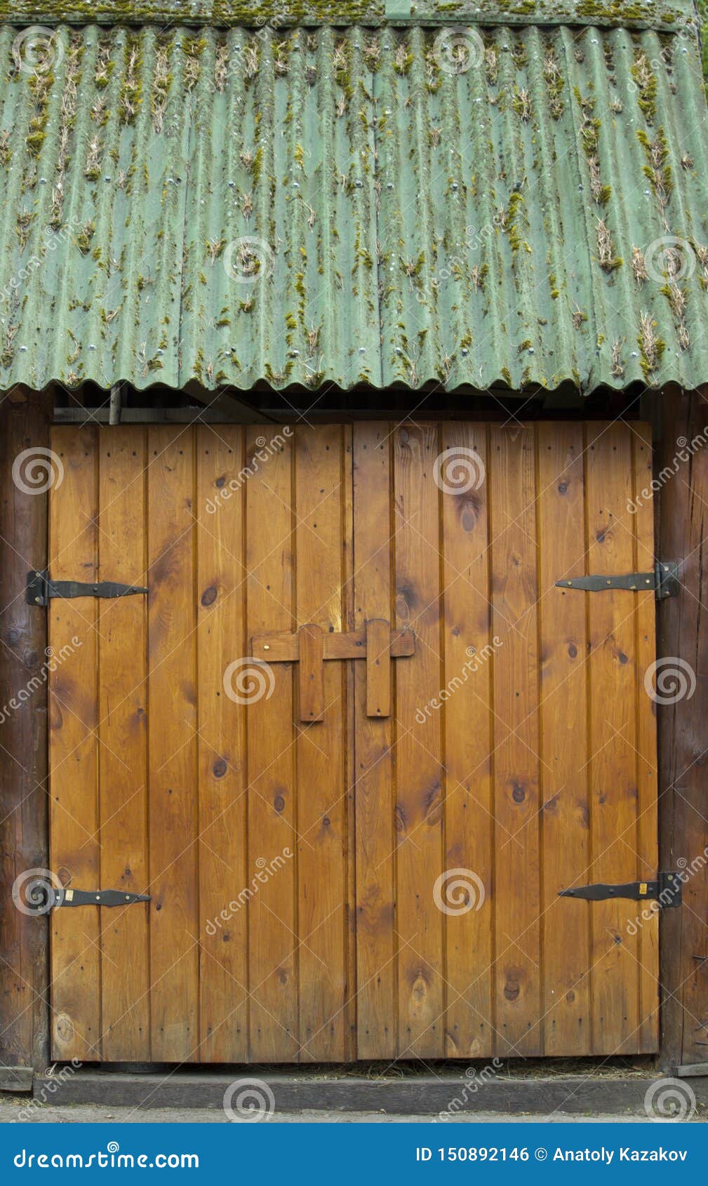 Wooden, Massive, Doubleleaf Hinged Doors Stock Photo Image of