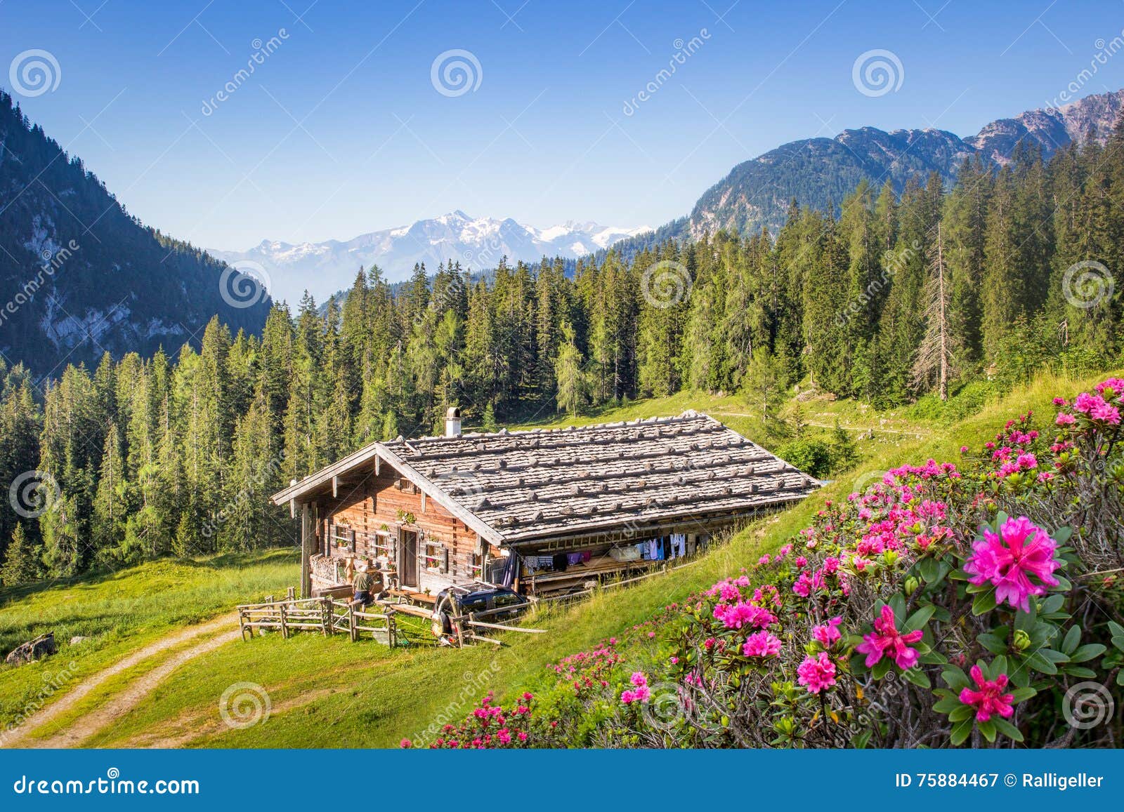 wooden mountain hut in the alps, salzburg, austria