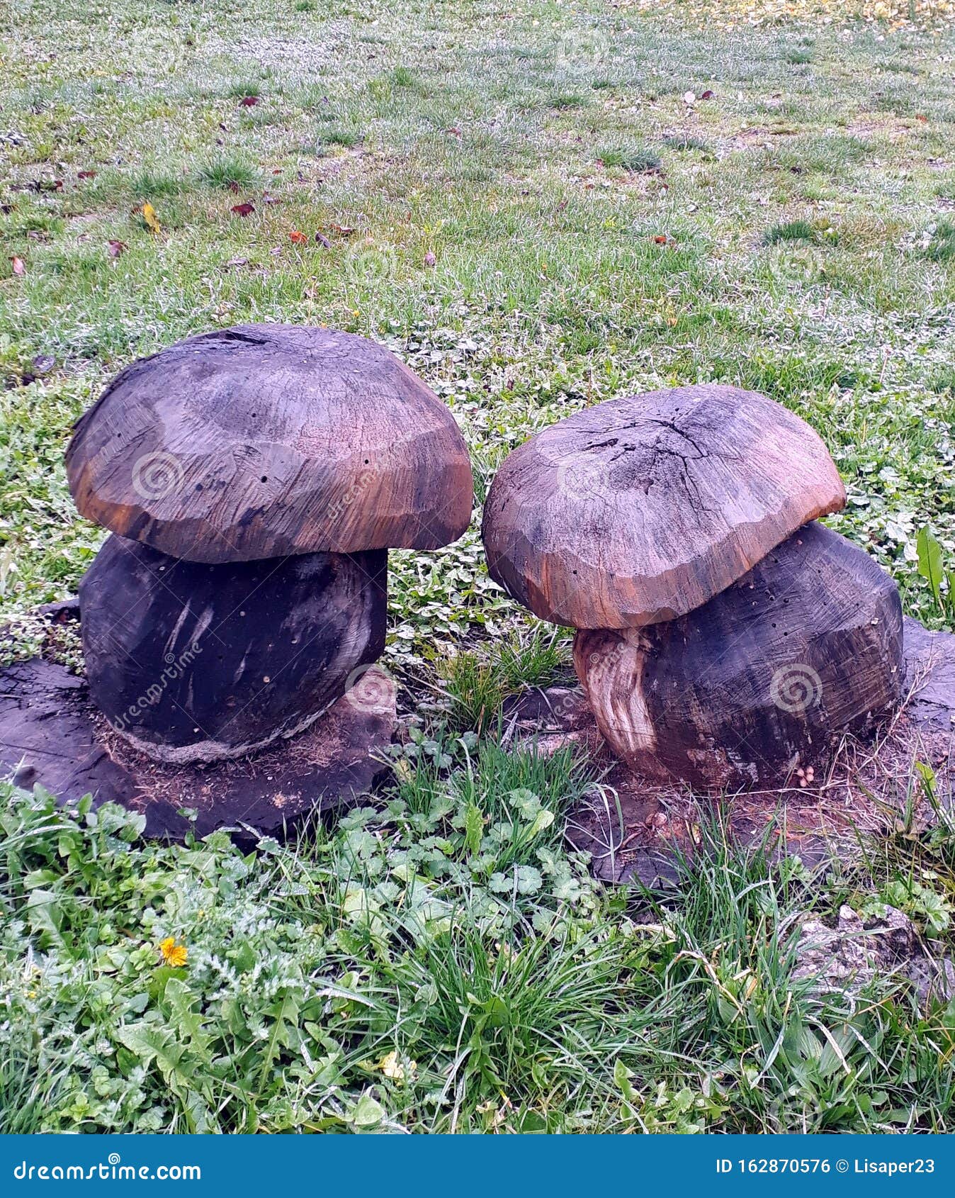 Wooden Mushrooms Sculpture Stock Photo Image Of Garden 162870576