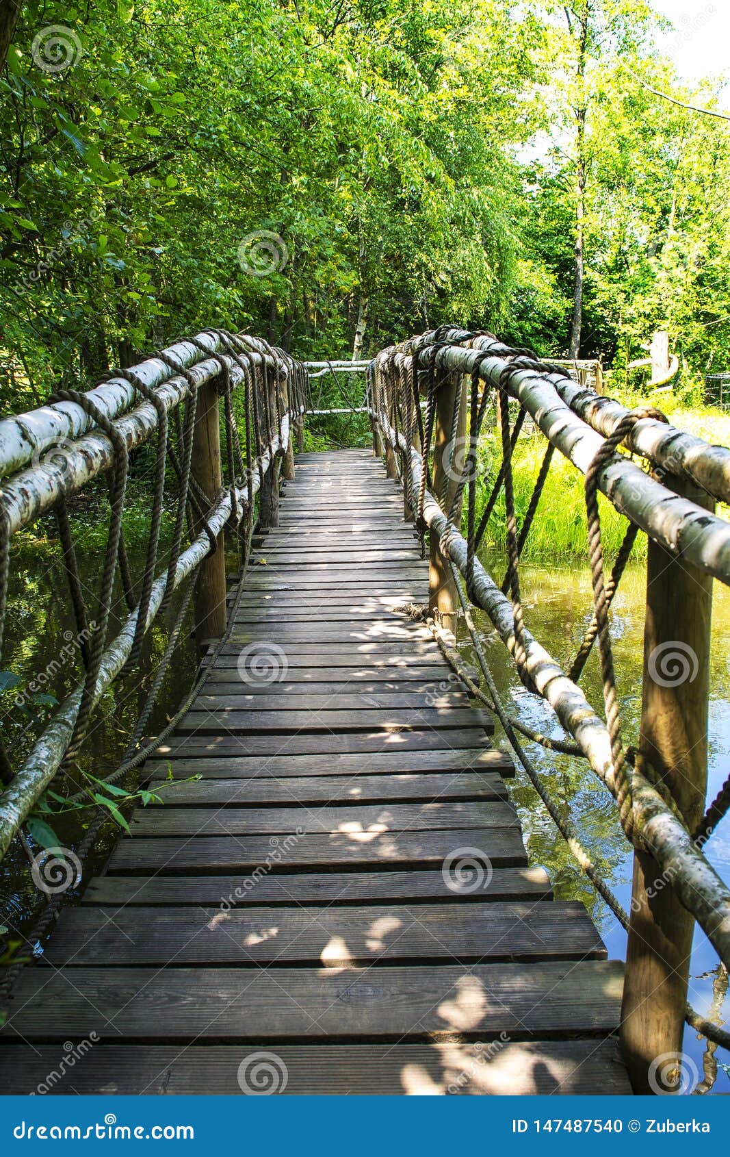 Wooden Nature Bridge stock photo. Image of long, outdoor - 147487540