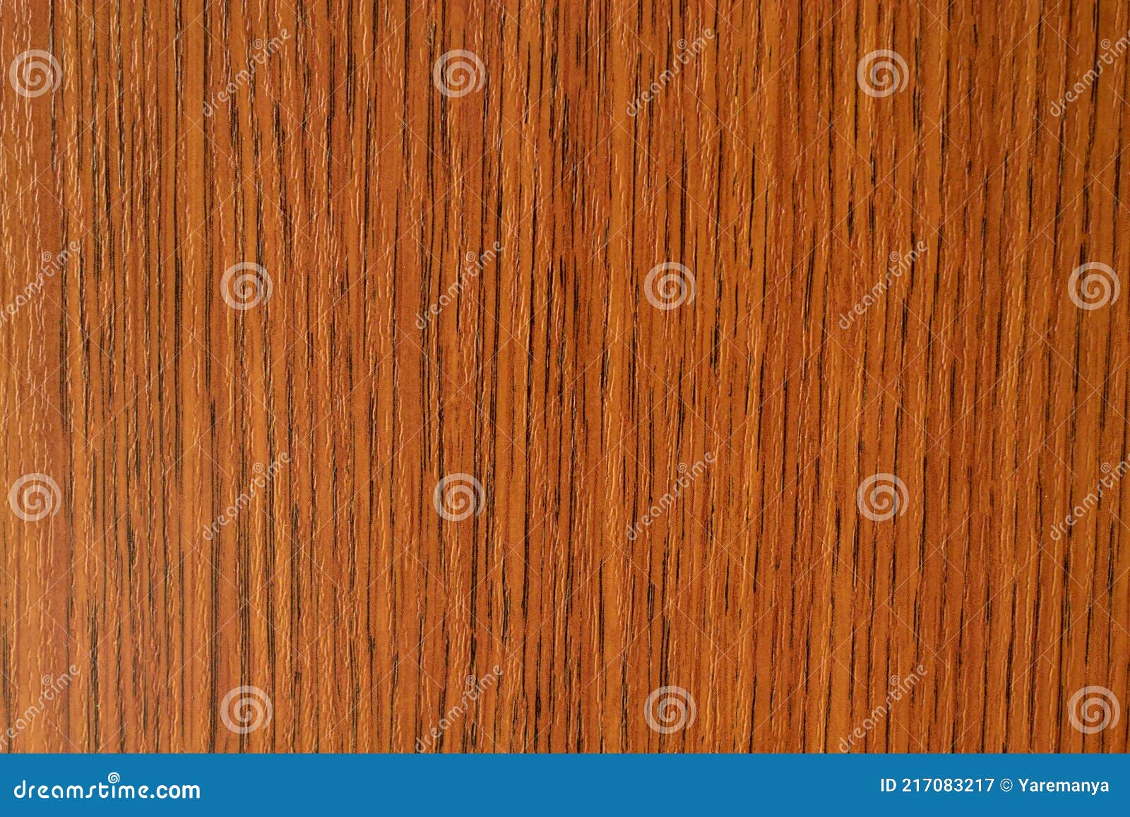 Wooden Oak Texture on the Table Stock Image Image of board, pattern