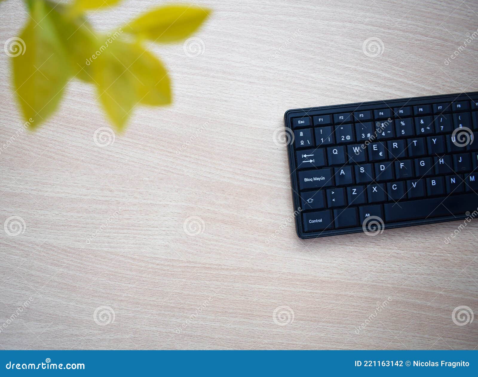 wooden office table with laptop keyboard and plant