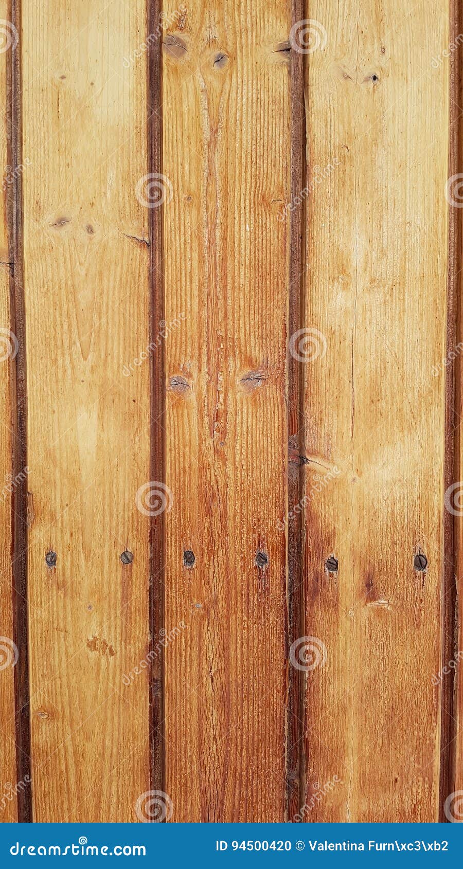 wooden panel with rusty nails - texture