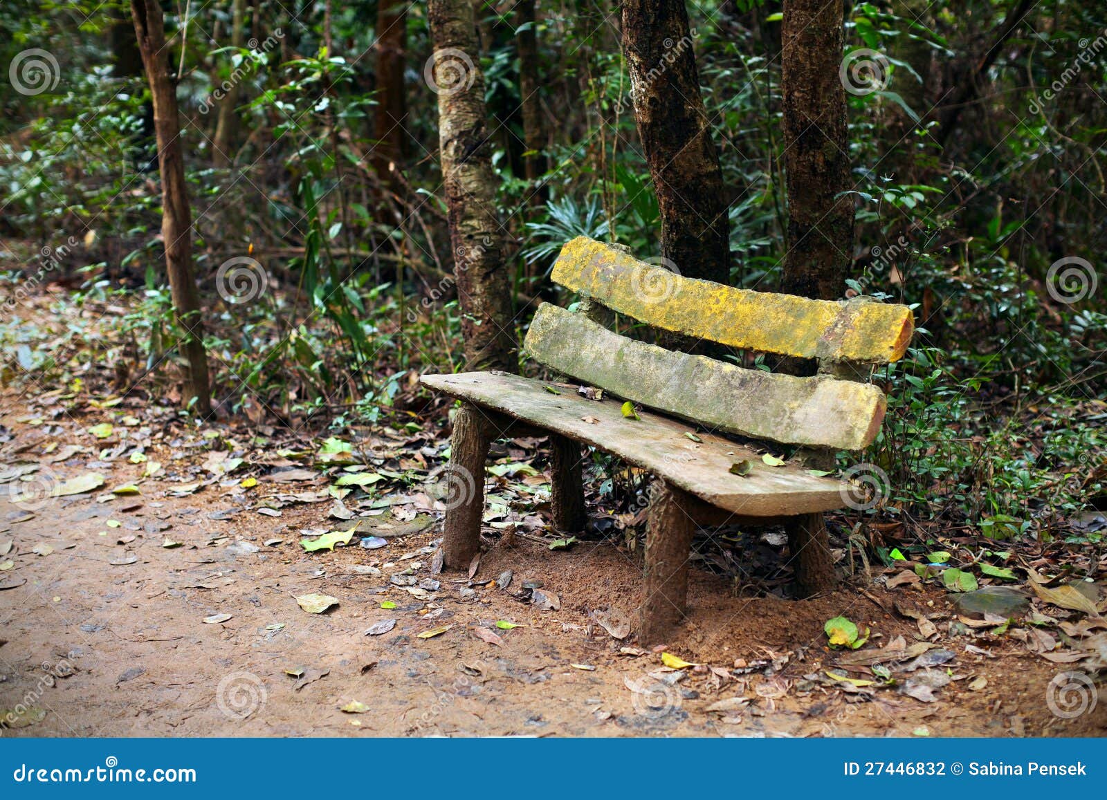 Wooden Park Bench, Sitting Area In The Woods Stock