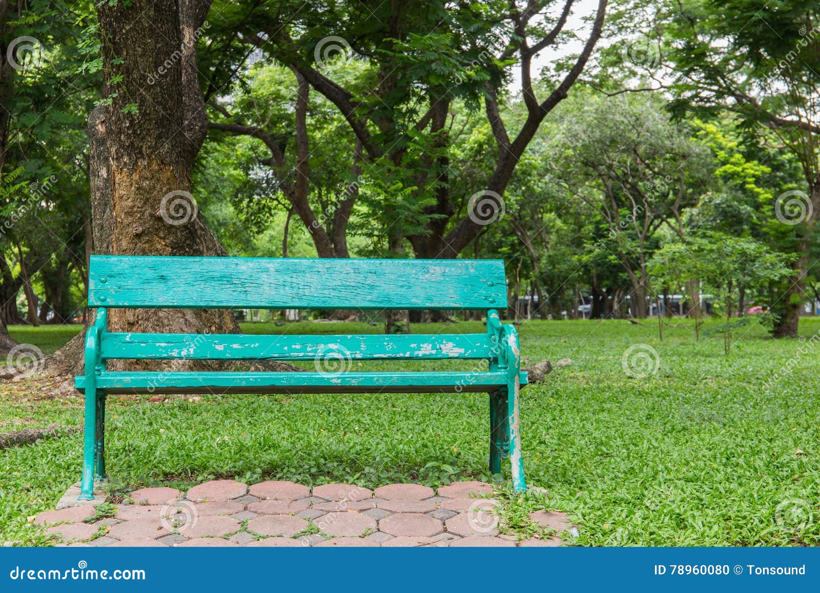 Wooden Park Bench Under Trees . Stock Photo Image of relaxation