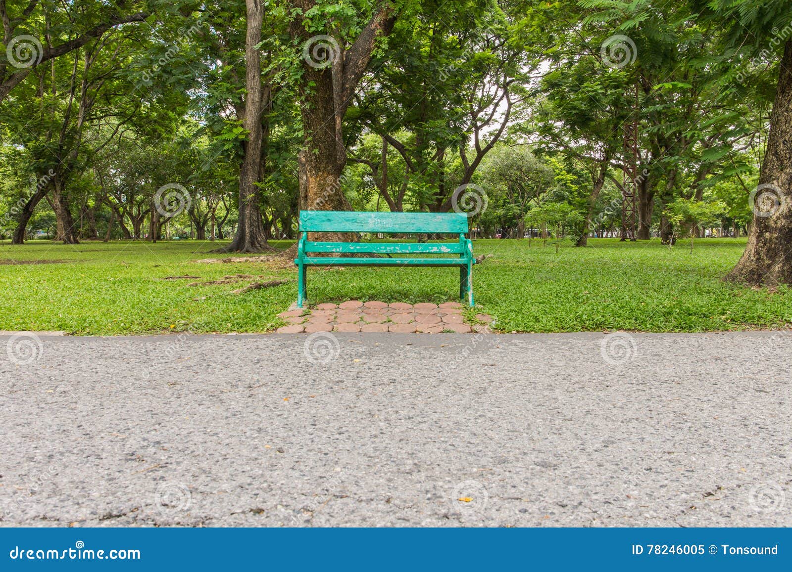 Wooden Park Bench Under Trees . Stock Image Image of tranquil, bench