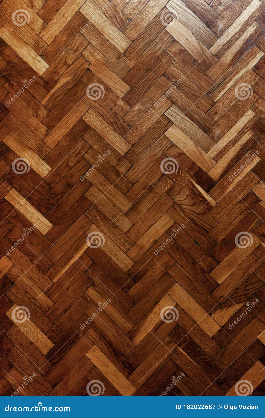 wooden parquet on the floor
