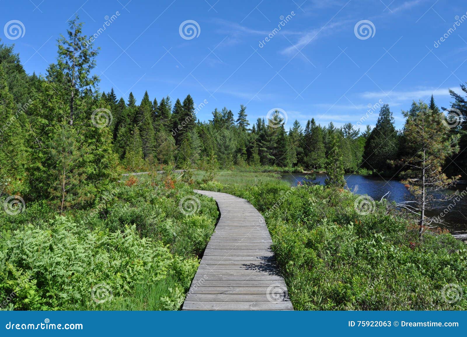 wooden path across the lake