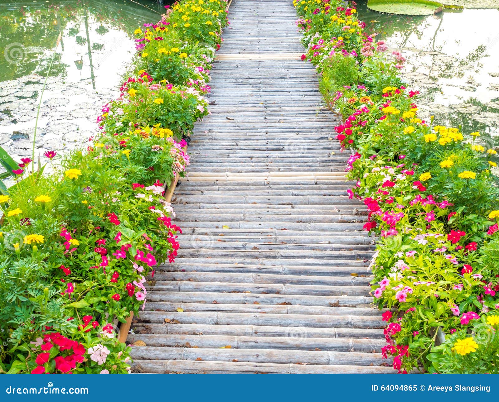 Wooden Path with Beautiful Flowers in Park Stock Image Image of