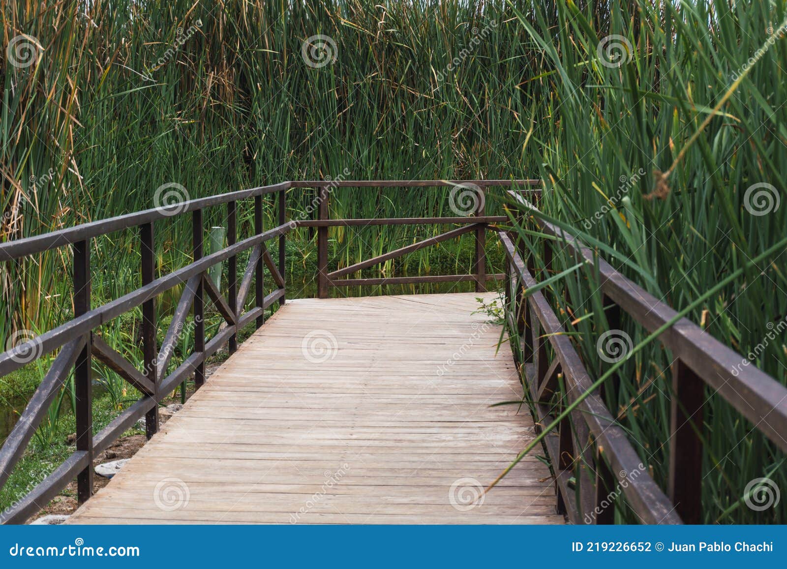 wooden path in pantanos de villa