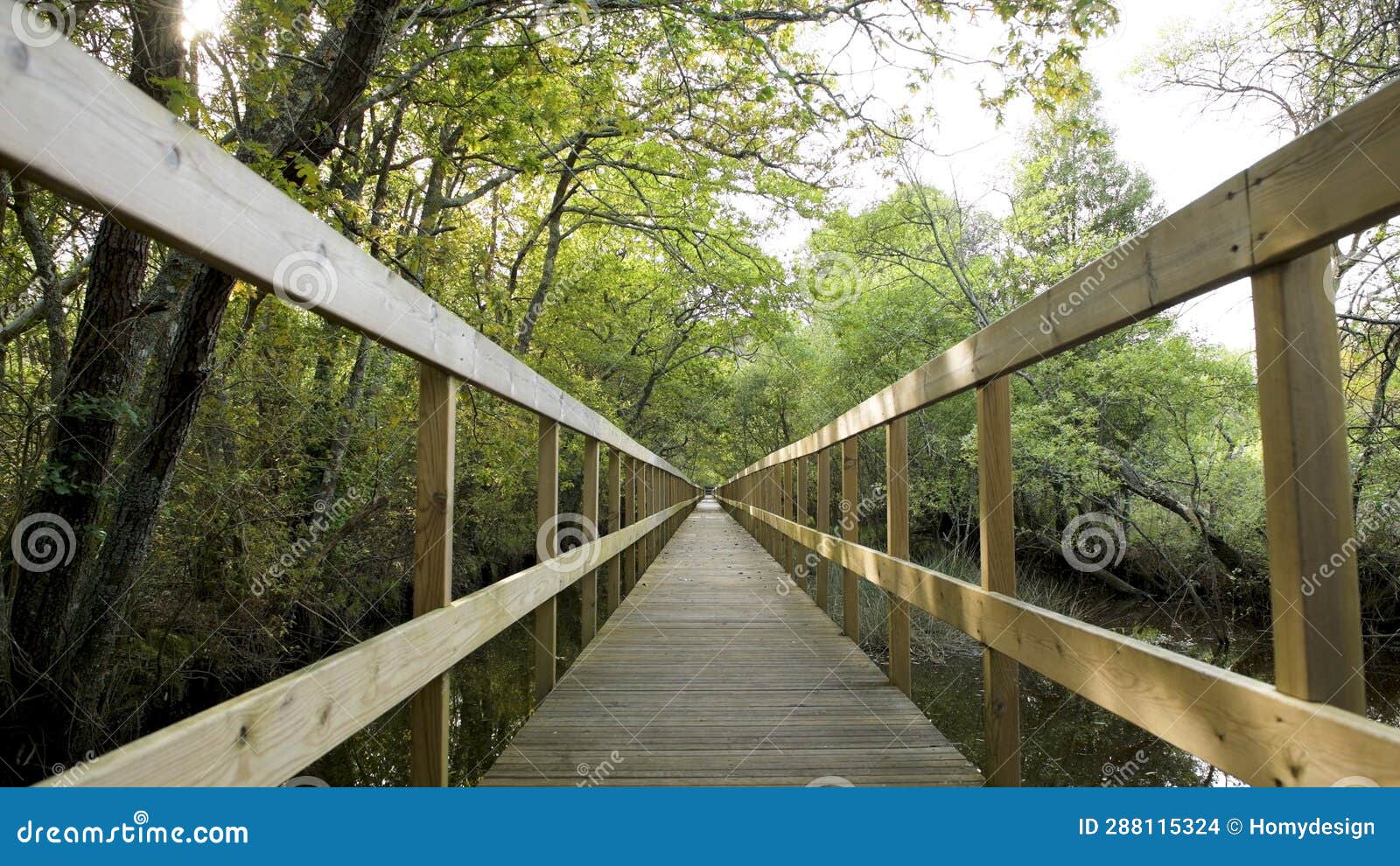 wooden pathway in lagoas de bertiandos