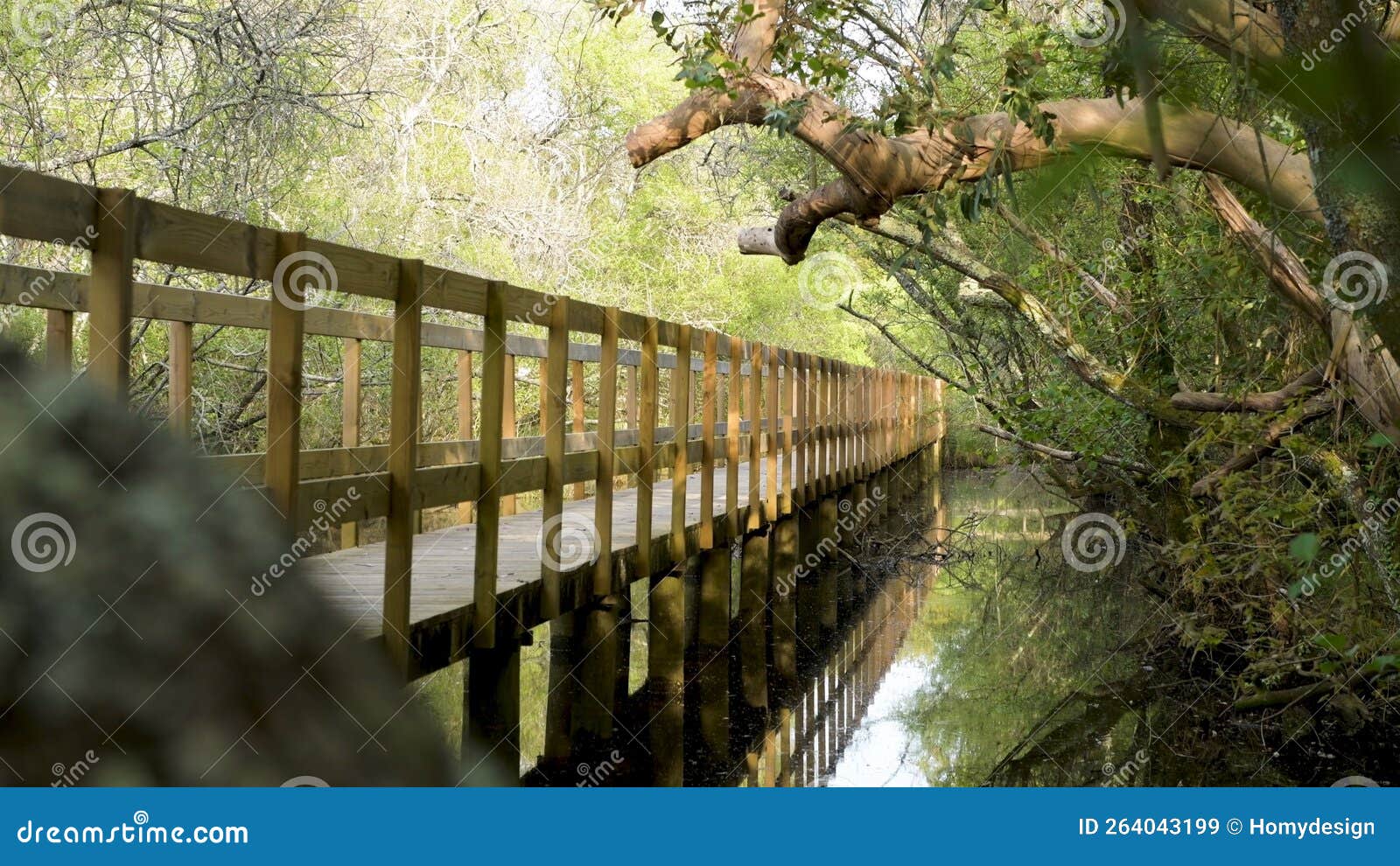 wooden pathway in lagoas de bertiandos