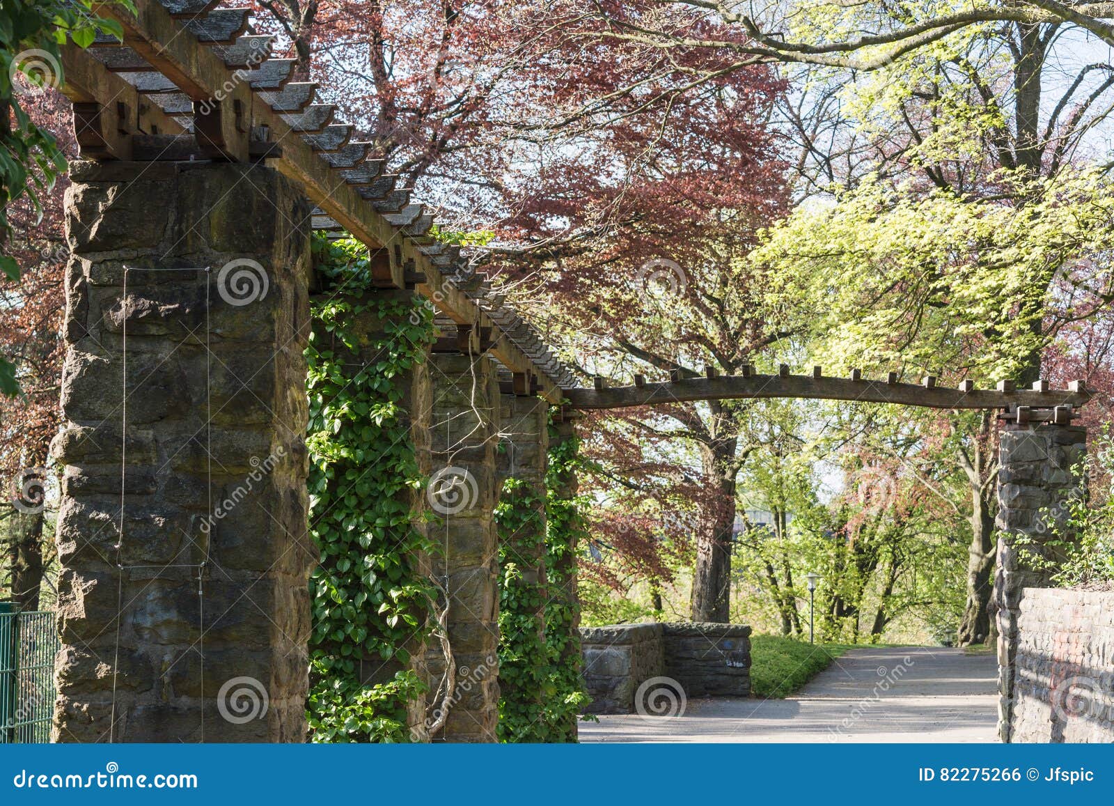 Wooden Pergola Covered with Ivy Stock Photo Image of idyll