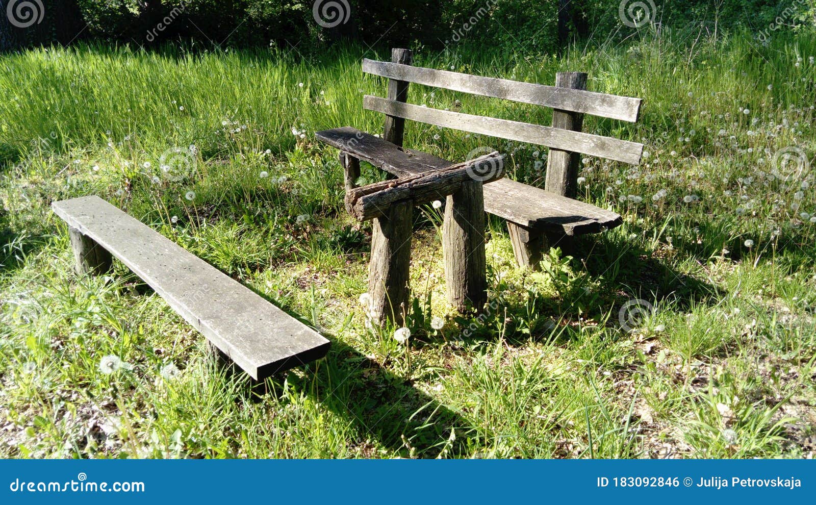 Wooden Picnic Table and Bench in a Forest or Park Stock Photo Image
