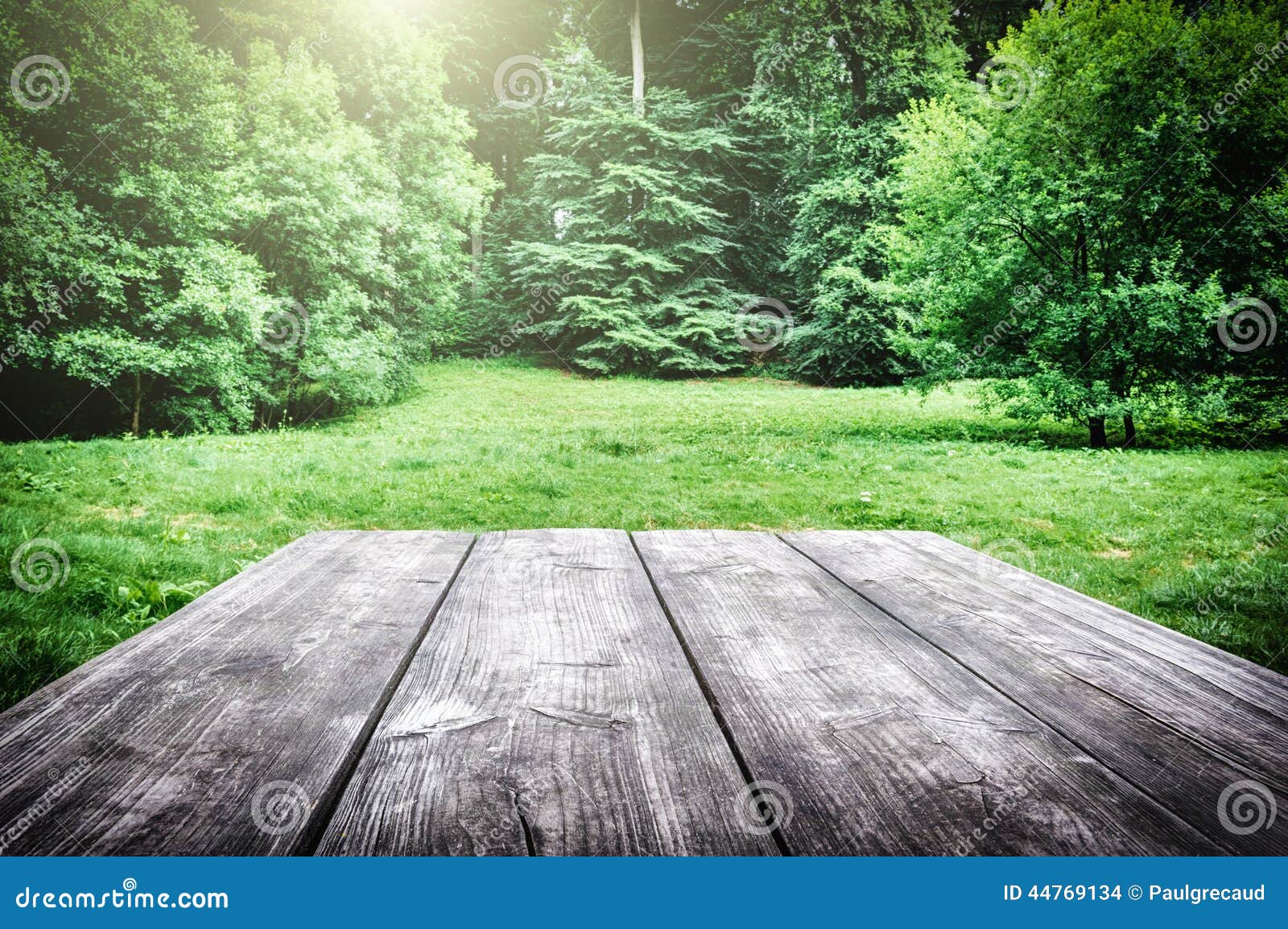 Wooden Picnic Table In Forest Stock Photo - Image: 44769134