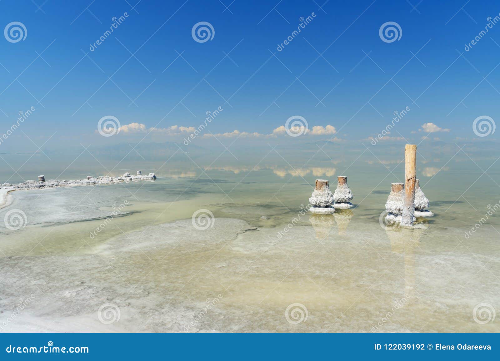 wooden pillars with crystallized salt on urmia salt lake. iran