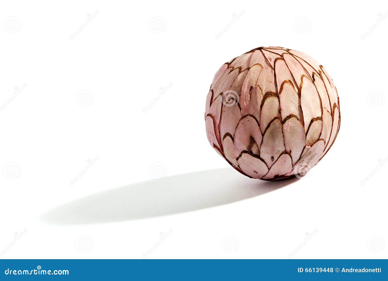 Wooden pink sphere stock photo. Image of copy, ball, wood 66139448