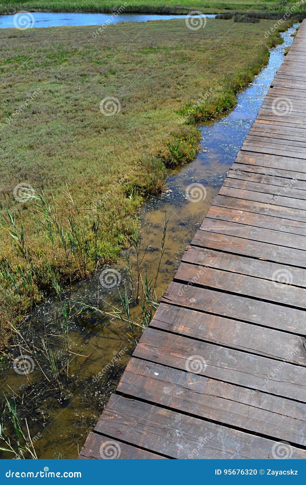 wooden plank bridge across marshy land near healing muds and beaches of nin, croatia, adriatic