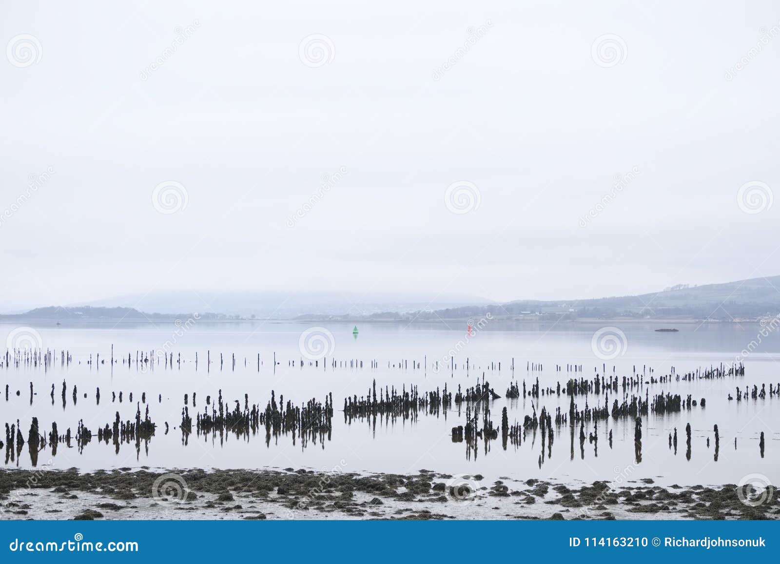 Wooden Posts Stakes in Sea Water Sand for Traditional Shipbuilding Industry  Timber Ponds Storage Build Vessels and Fishing Fisherm Stock Photo - Image  of disused, shipbuilding: 114163210