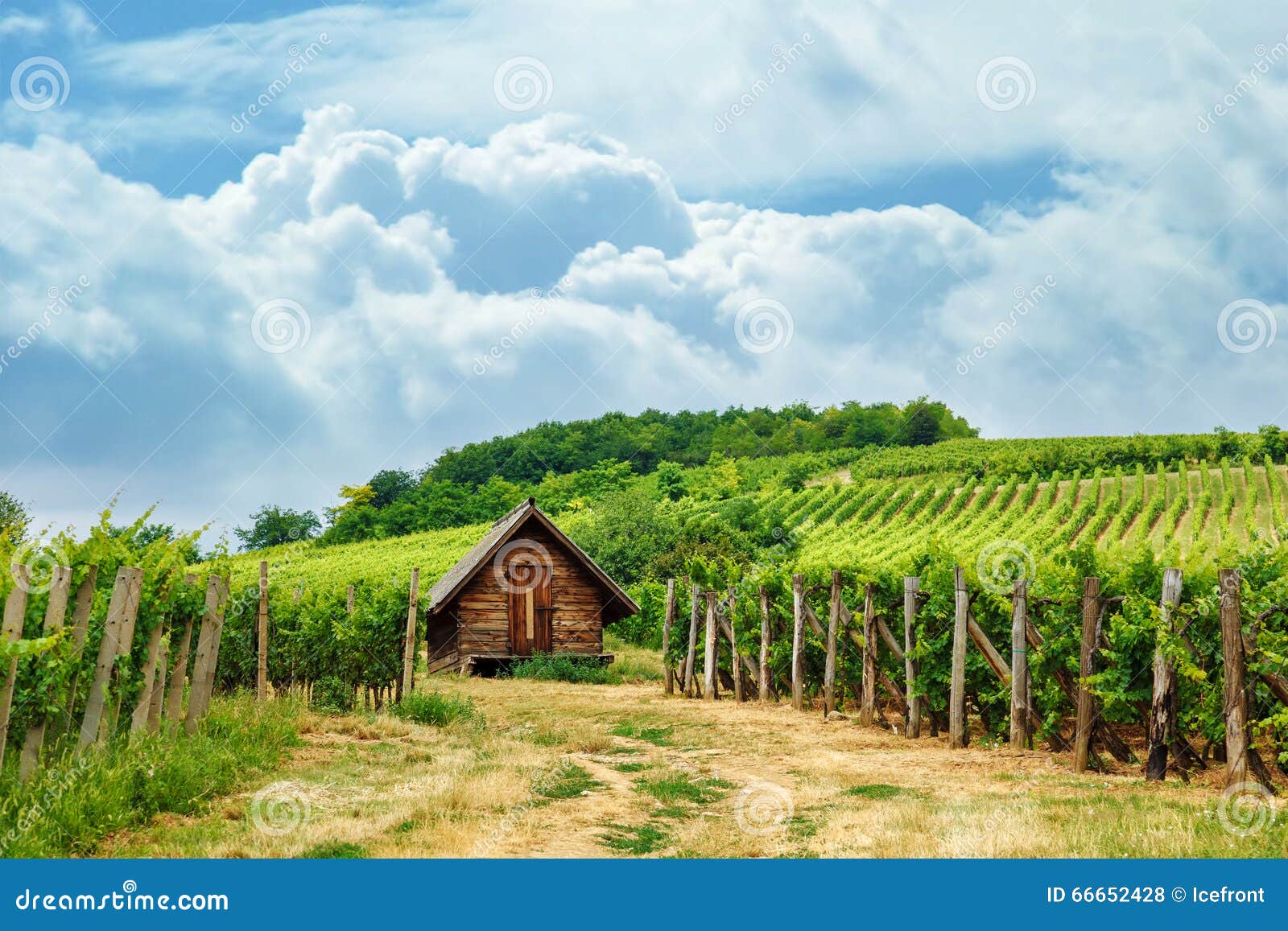 Wooden Press House in Vineyard Stock Photo Image of cloudy, culture 66652428