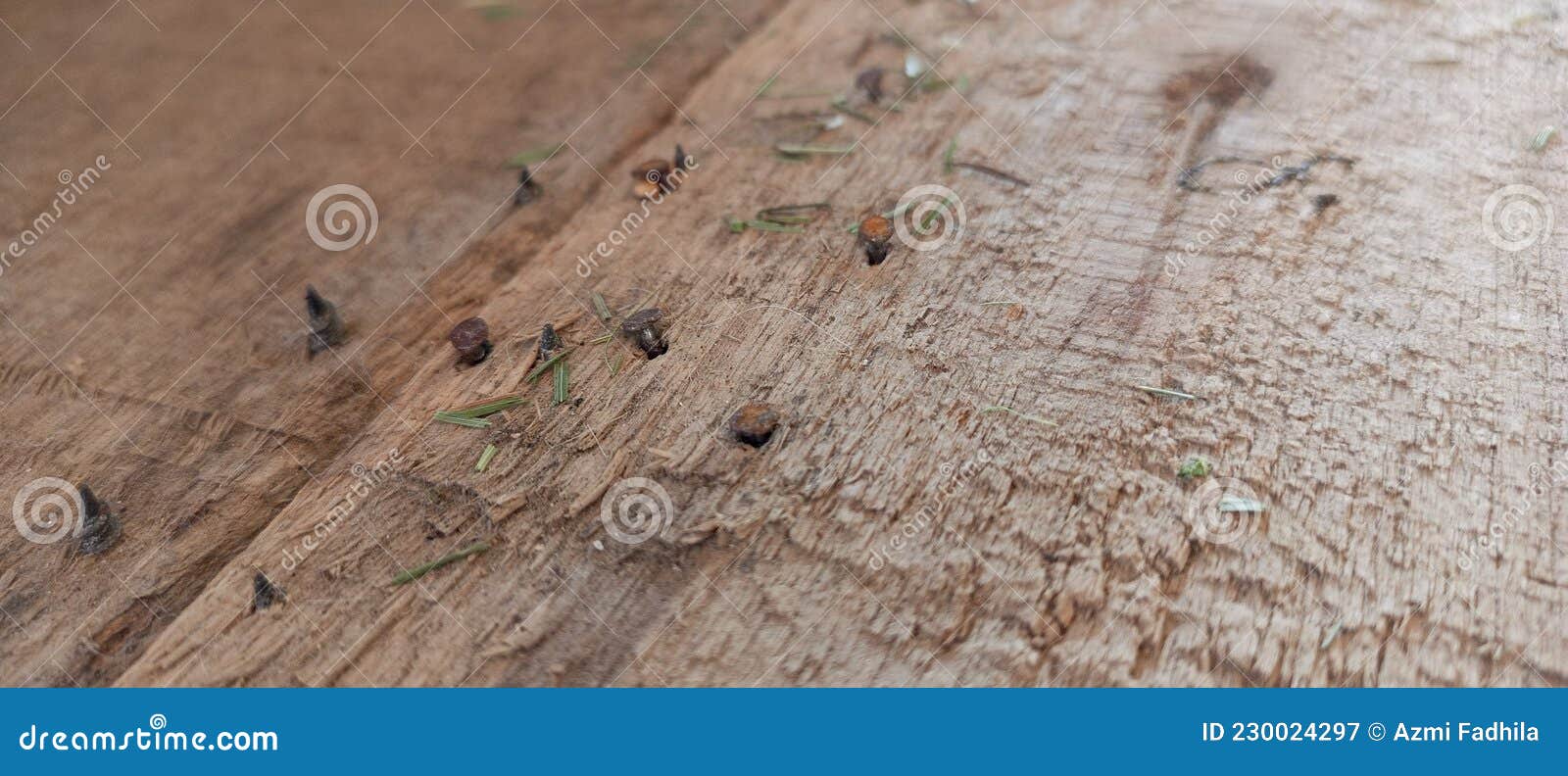 Wooden Rafters with Nails Driving Stock Image Image of rock, geology