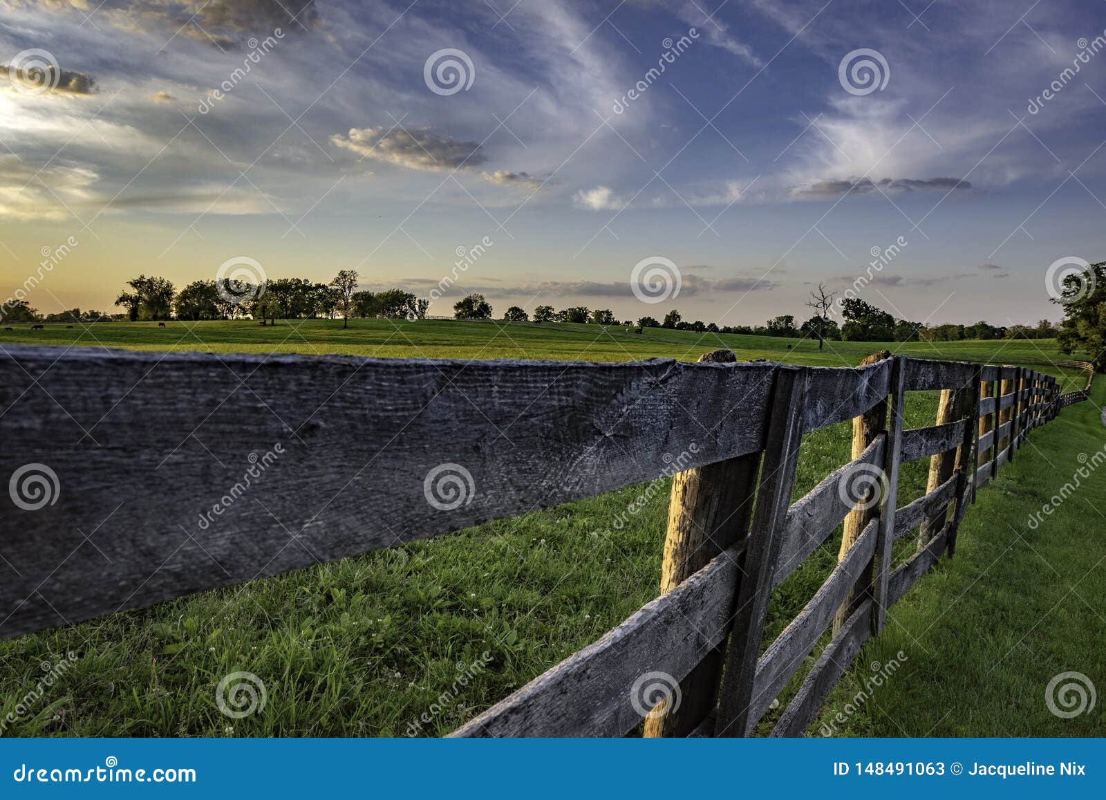 wooden rail fence in kentucky bluegrass region