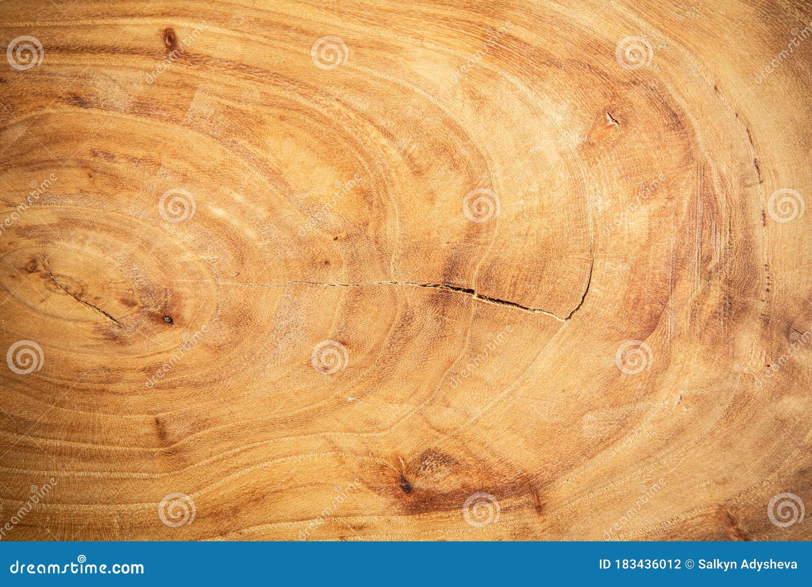 Ván gỗ tròn từ sồi: Ván gỗ tròn từ sồi là một sản phẩm độc đáo và tự nhiên, mang đến sự đẳng cấp và sang trọng cho không gian sống. Với độ bền cao, màu sắc và mùi thơm đặc trưng, chúng sẽ làm cho không gian sống của bạn trở nên ấn tượng và đẳng cấp hơn. Hãy chiêm ngưỡng những tấm ván gỗ tròn từ sồi và cảm nhận sự đẹp mà chúng đem lại.