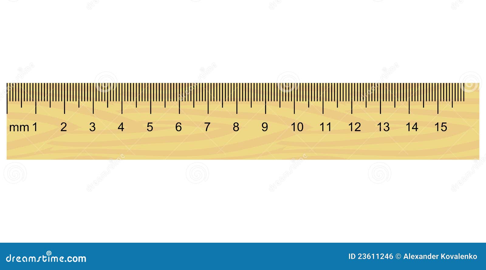 wooden ruler