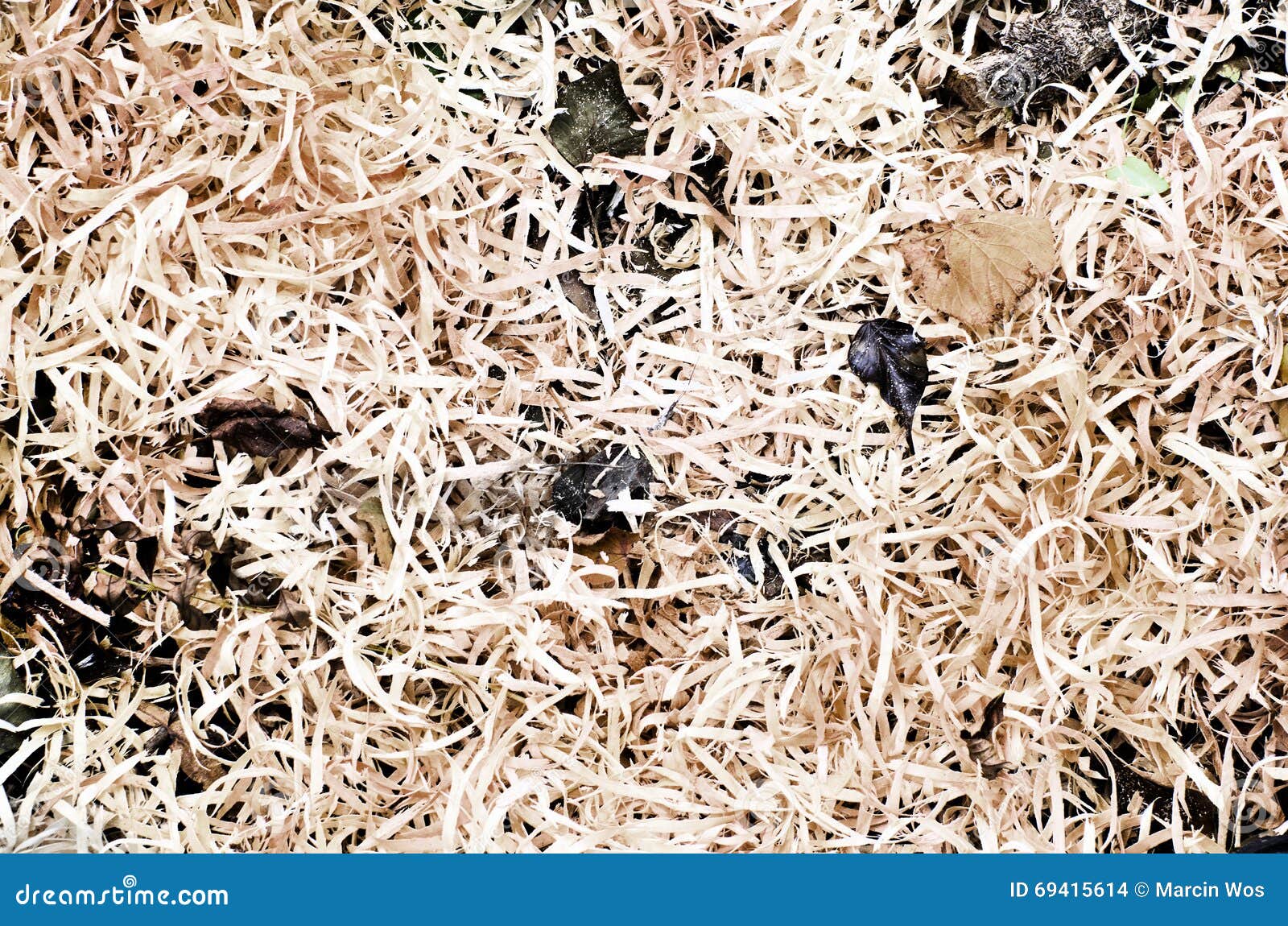 Wooden Sawdust with Leaves in it. Stock Photo Image of freshly, sawdust 69415614