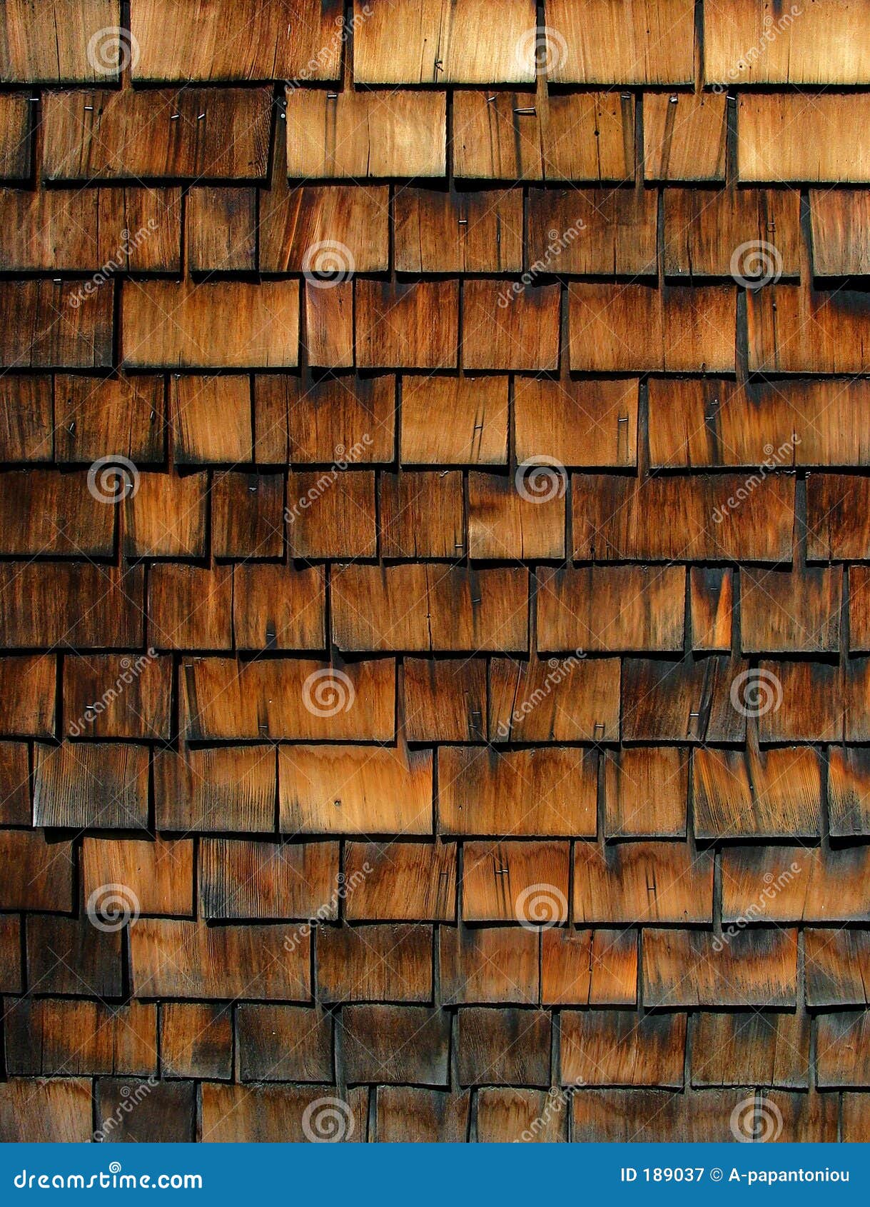 Wooden Scales stock image. Image of wood, organic, trunk - 189037
