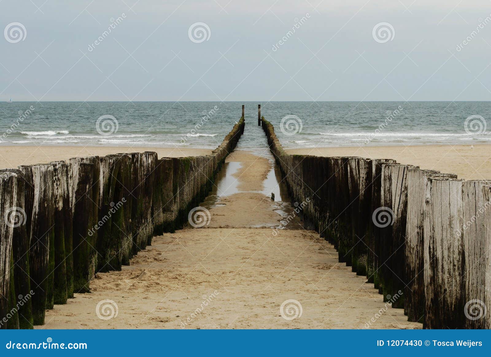 Wooden sea breakers stock photo. Image of seabeaker, shore 12074430