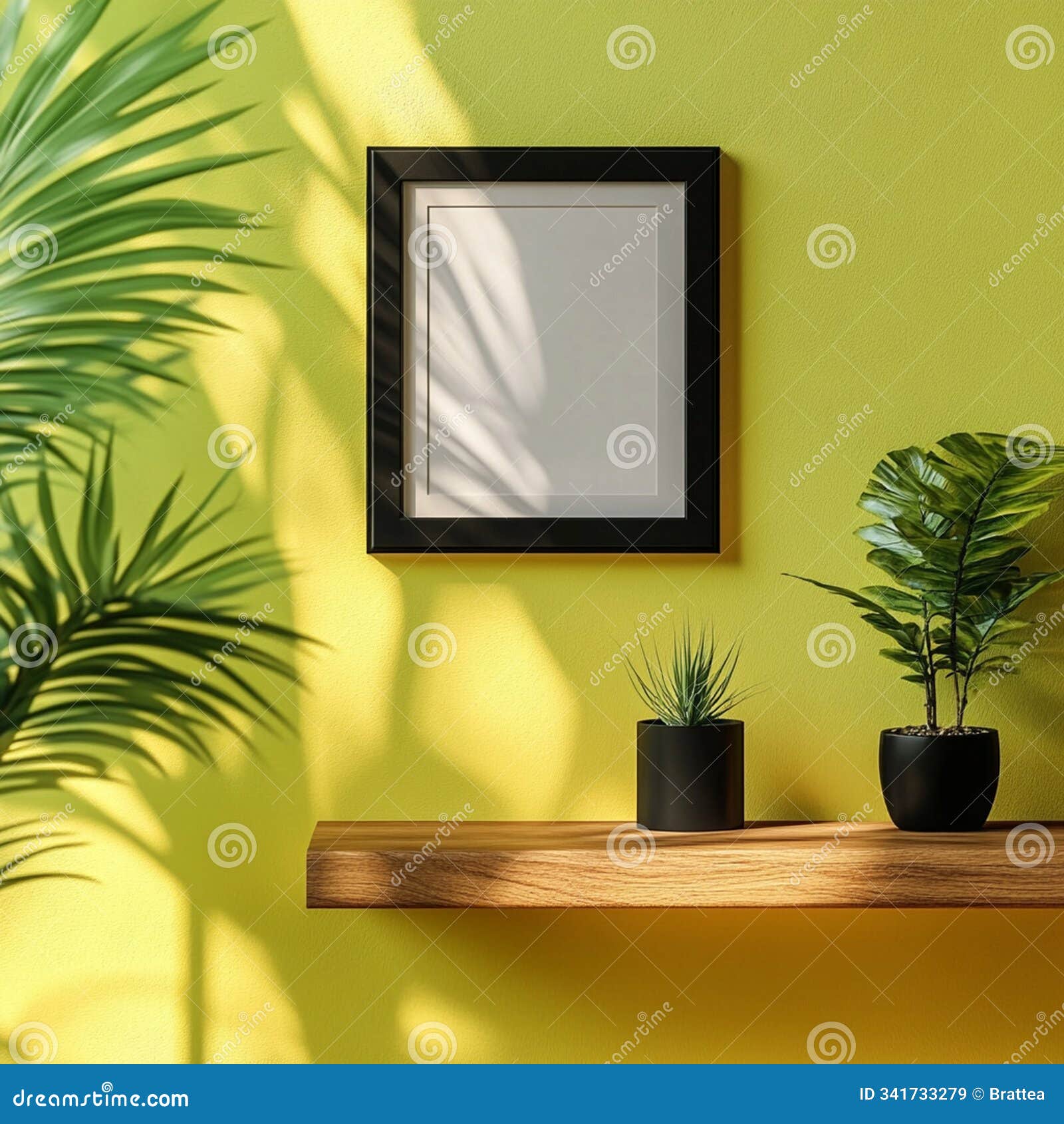 wooden shelf with plansts, black frame, lime wall