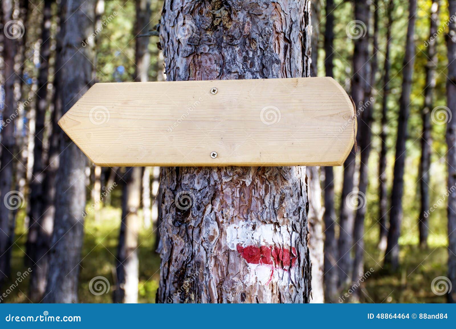 Wooden Sign Board in the Forest .Direction Board Stock Photo Image of