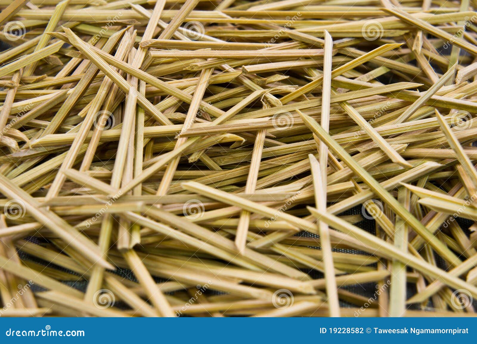 Wooden skewer stock photo. Image of wooden, group, bamboo