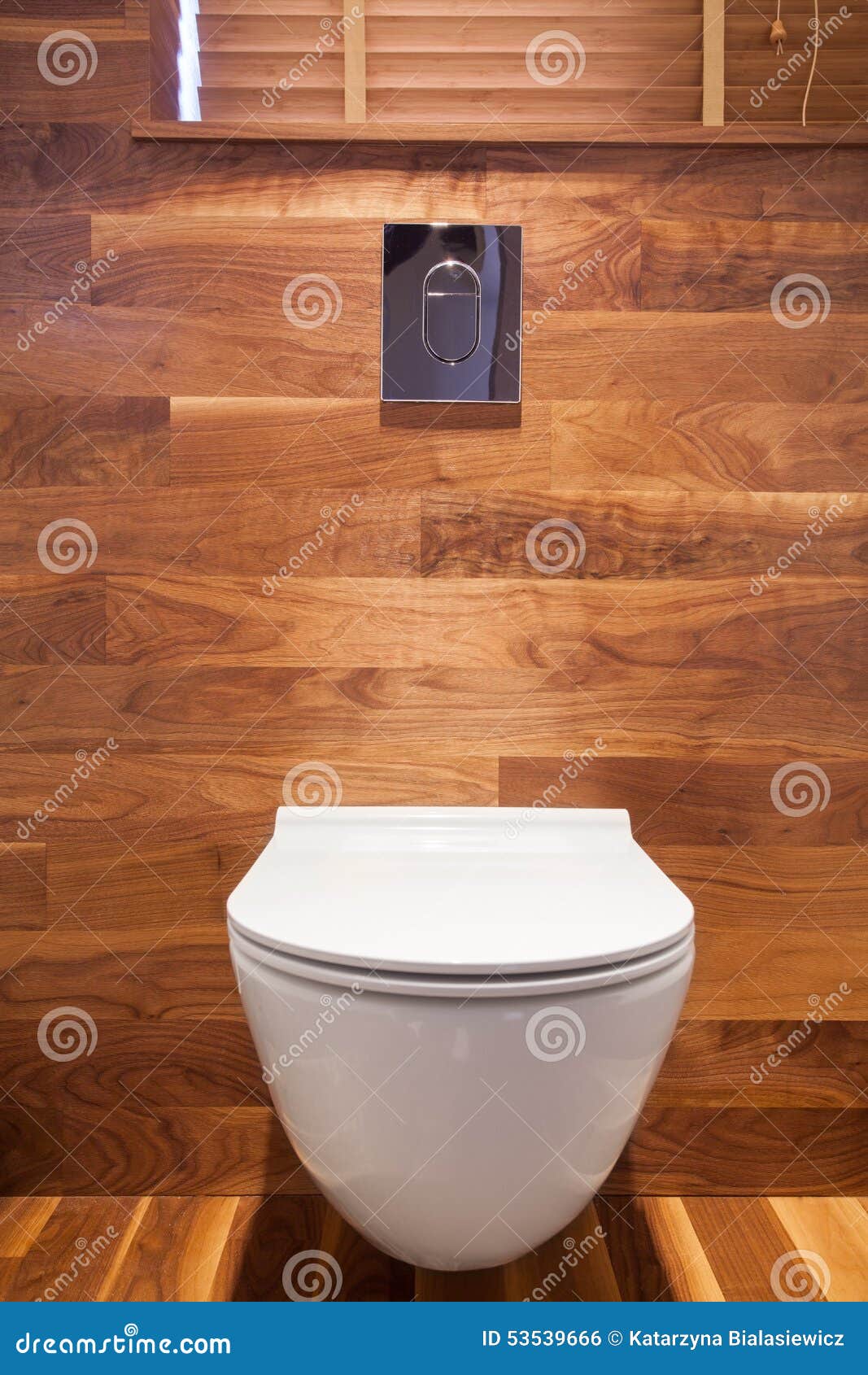 Wooden Small Toilet Interior Stock Photo Image of luxury, style 53539666