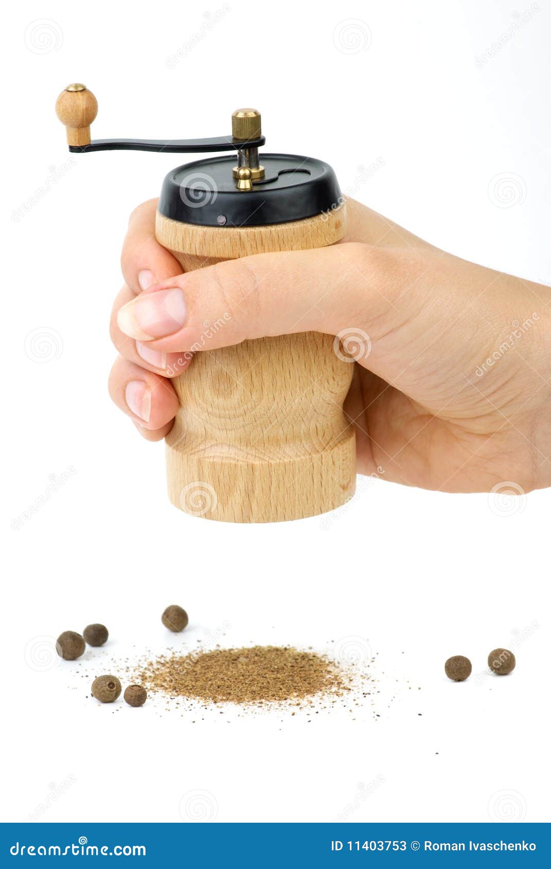 Wooden Spice Handmill in Hand Stock Image Image of food, seeds 11403753