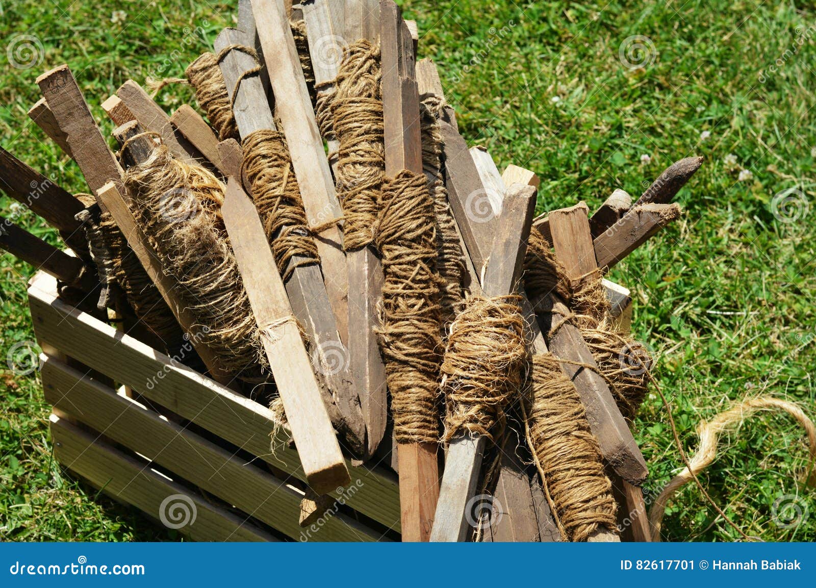 Wooden Stakes Stock Image Image Of Around Wooden Gardening