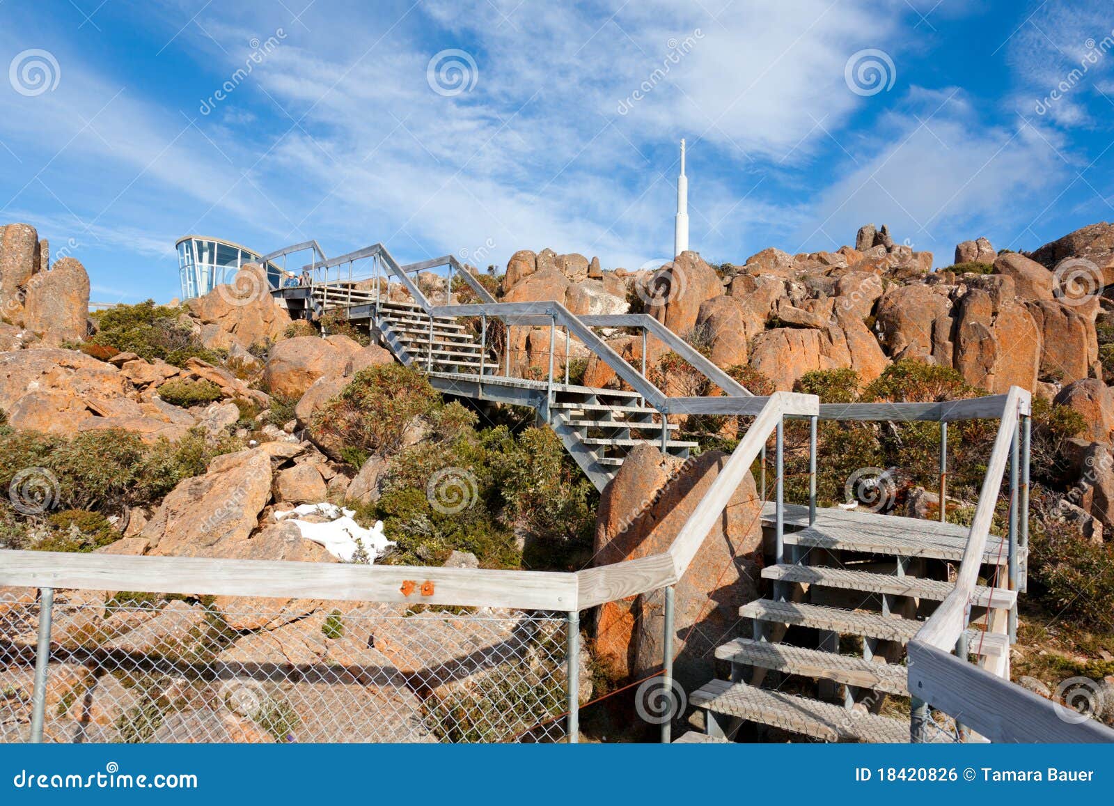 wooden steps