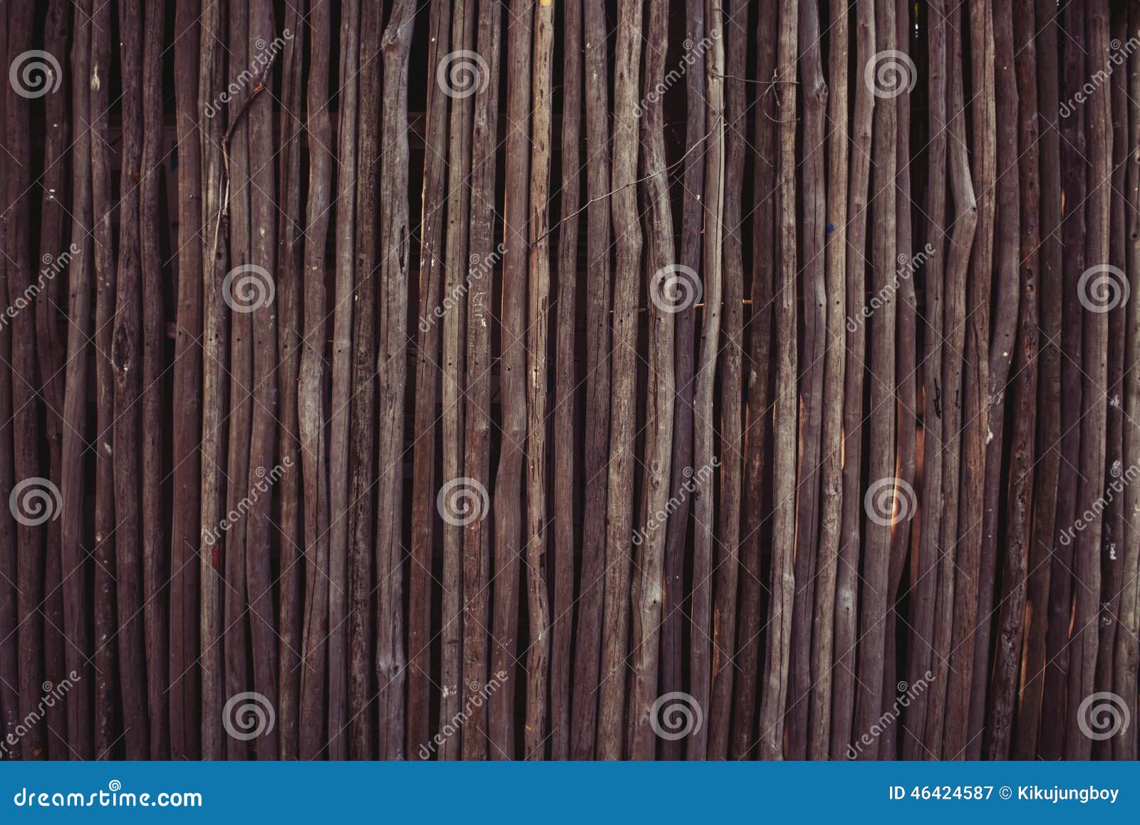 StickOn Wall Hooks Macro Isolated RoyaltyFree Stock Image