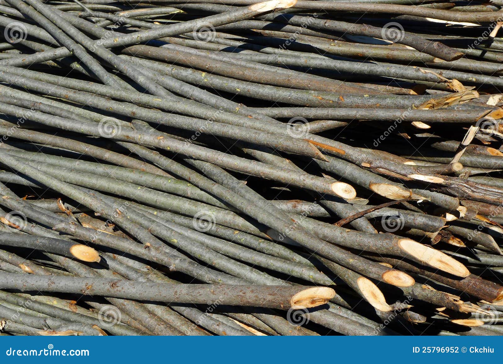 Wooden Sticks for Fence Construction Stock Photo - Image of stick, renewal:  25796952