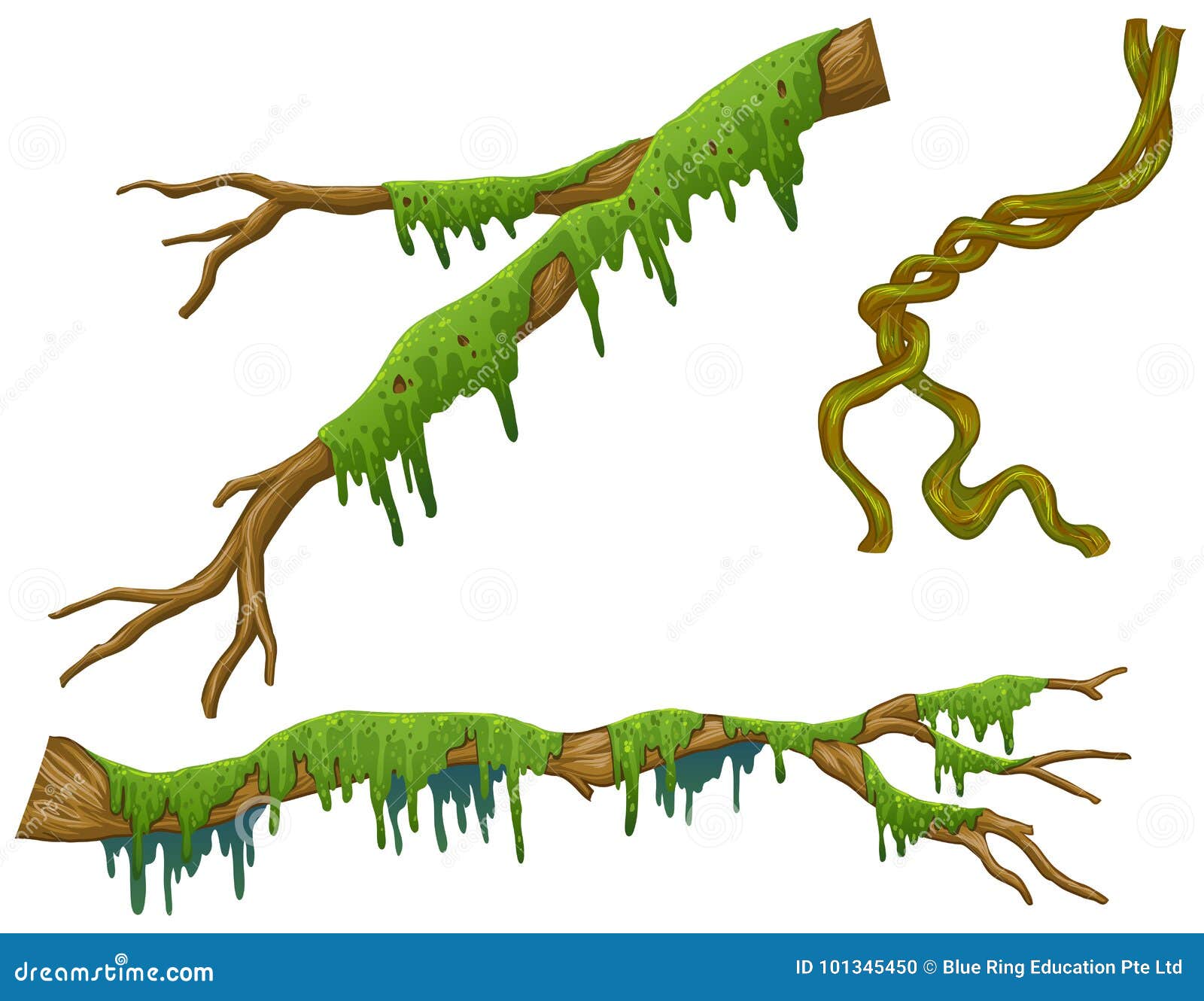 Set Of Green Moss Islets Or Forest Lichen With Realistic Texture ...