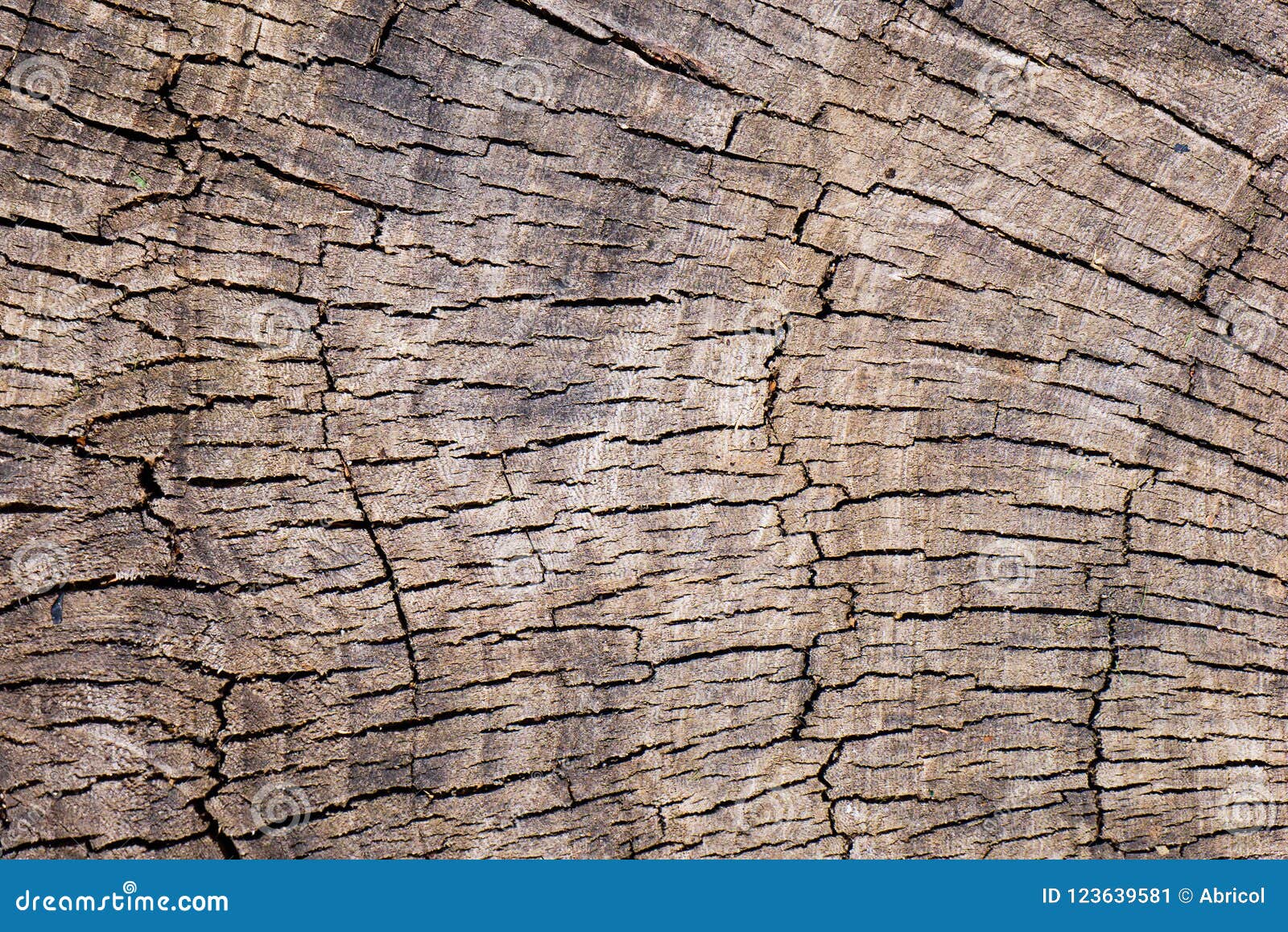 Wooden surface with cracks stock image. Image of background 123639581