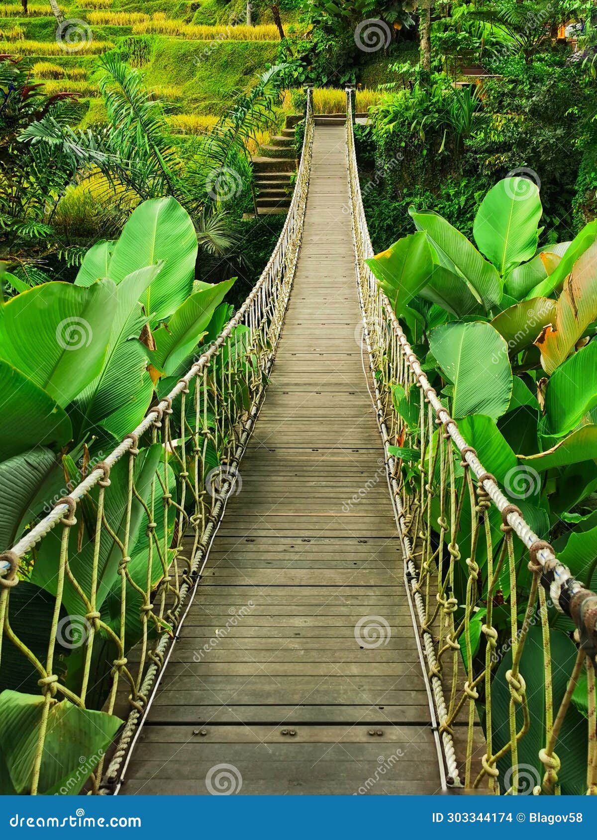 wooden suspended bridge at the alas harum entertainment centre on the bali island in indonesia