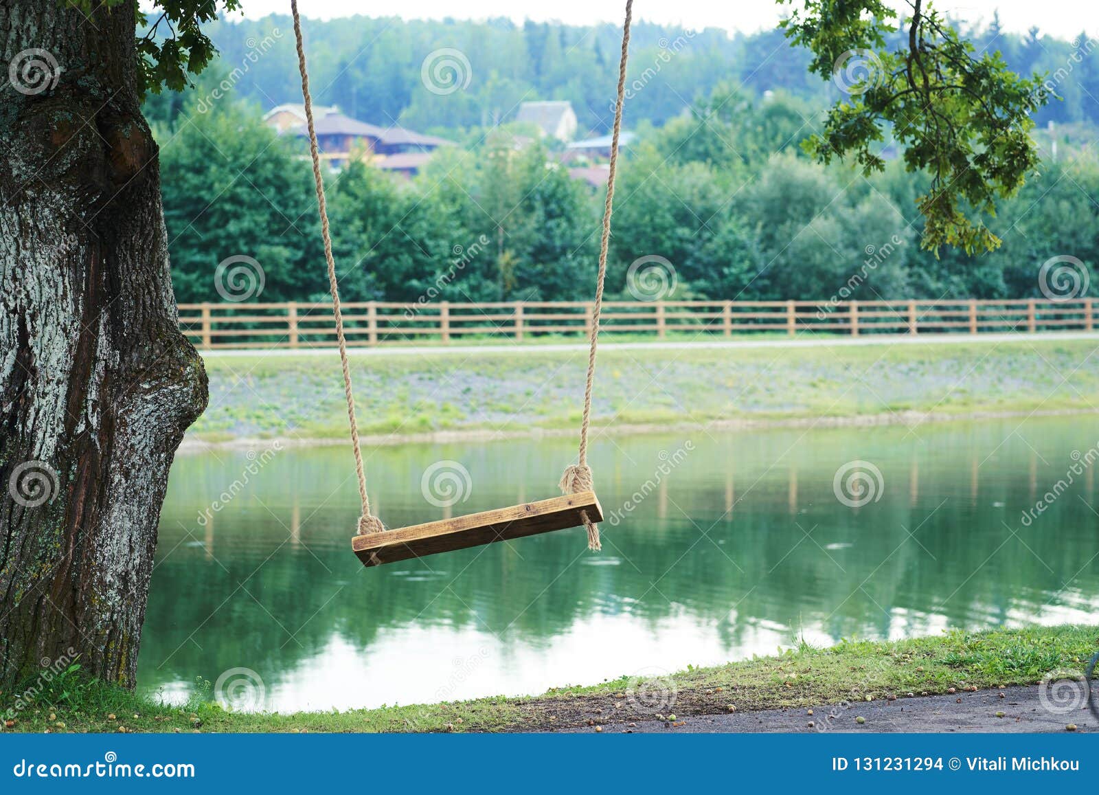 Wooden Swing on a Rope Mount Mounted on a Tree on the Shore of the Lake.  Stock Photo - Image of green, summer: 131231294