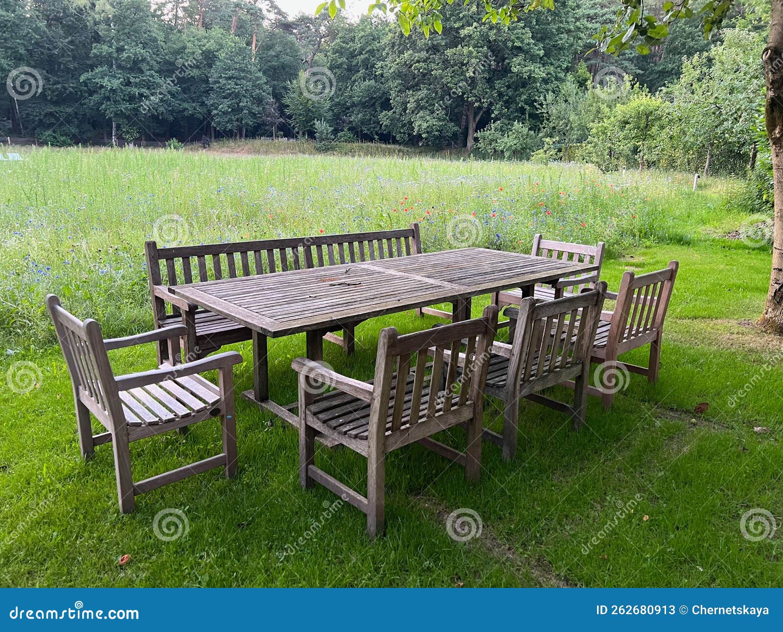 Wooden Table with Bench and Chairs in Garden. Landscape Design Stock