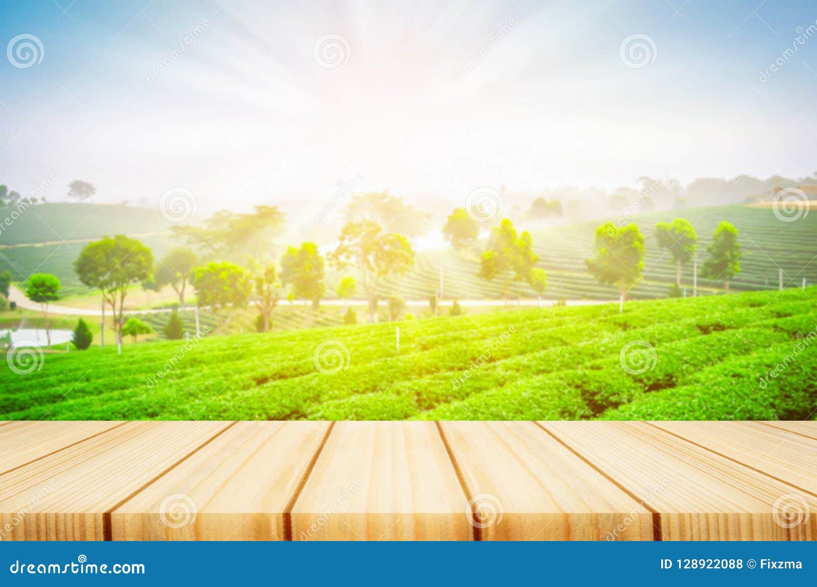 671 Wooden Table Tea Tea Plantation Background Stock Photos - Free &  Royalty-Free Stock Photos from Dreamstime