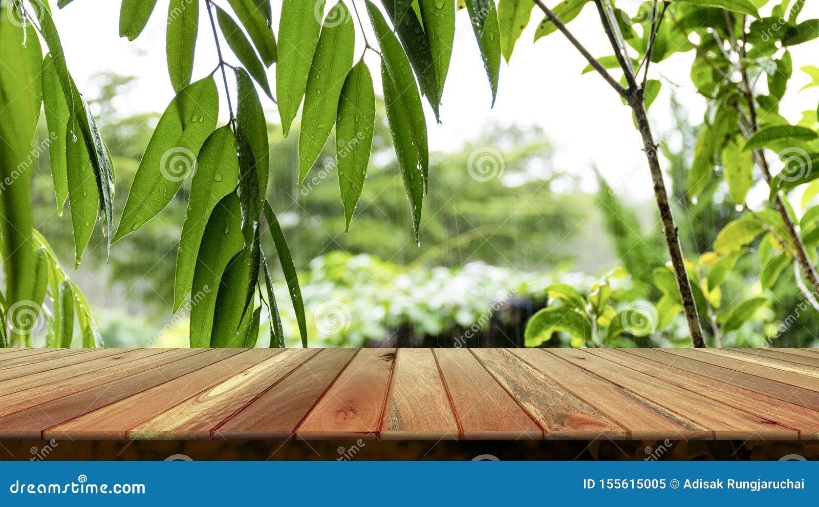 Wooden Table and Blurred Green Leaf Nature in Garden Background ...