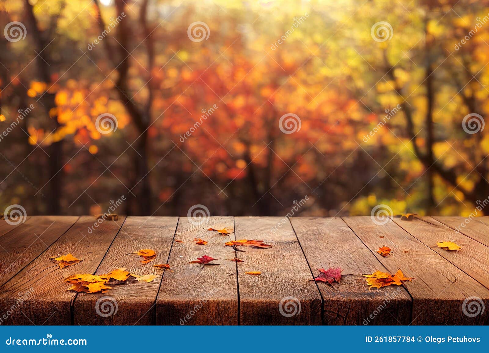 A Wooden Table with Leaves on it in Front of a Forest of Trees with